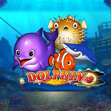 Dolphin
