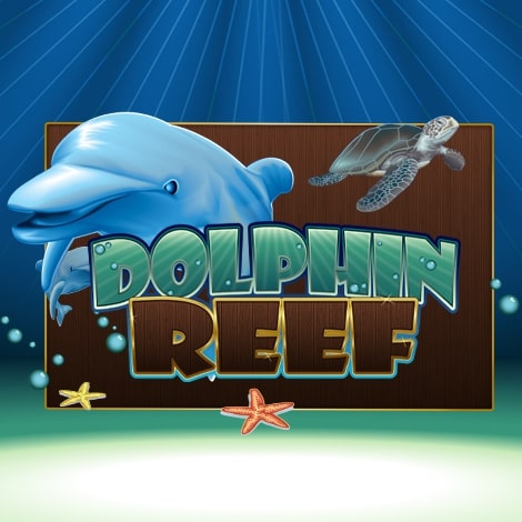 Dolphin Reef