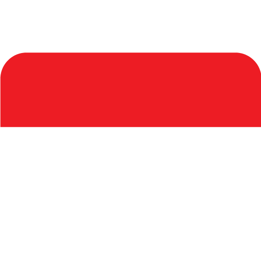 BAHASA INDONESIA