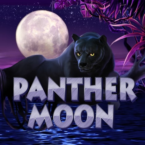 Panther Moon